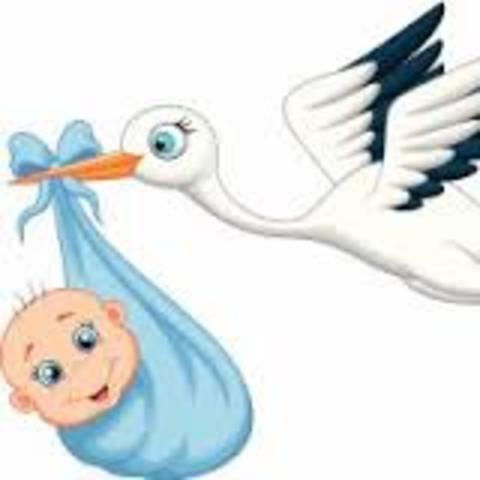Birth