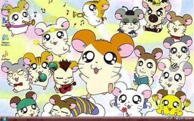 HAMTARO