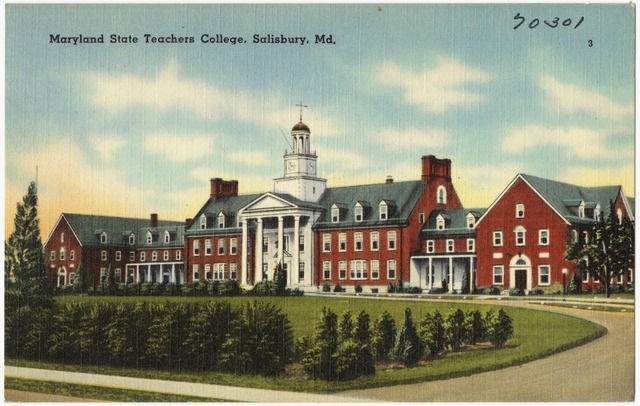 William started teaching.