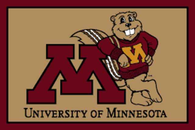 Undergraduate in College