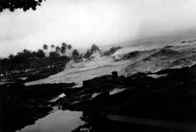 Aleutian Earthquake (Alaska)