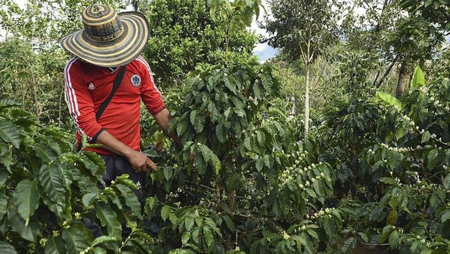 Acuerdo Sobre Tierras Y Desarrollo Rural