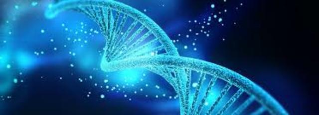 Genética en salud