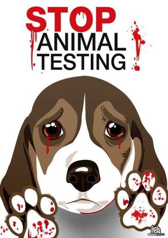 2016: Countries begin to ban Cosmetic Animal Testing