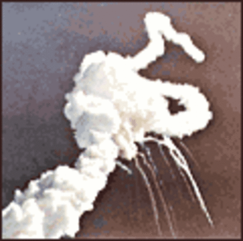 Space shuttle Challenger explodes 73 seconds after liftoff, killing all seven crew members