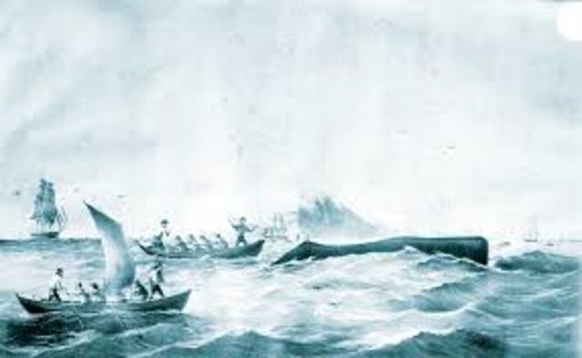 Peak of whaling from Connecticut ports and especially from New London