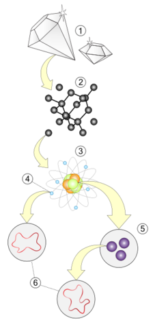 Secondo i filosofi greci