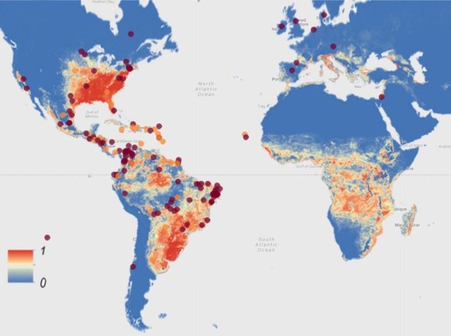 Where Zika has been