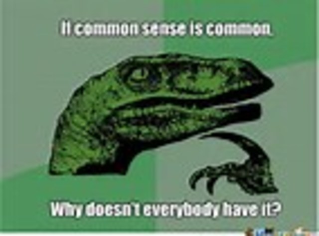 Common sense