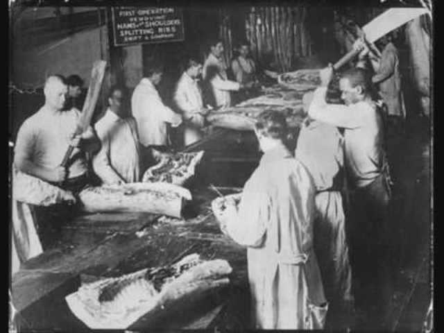 Sinclair's "The Jungle"