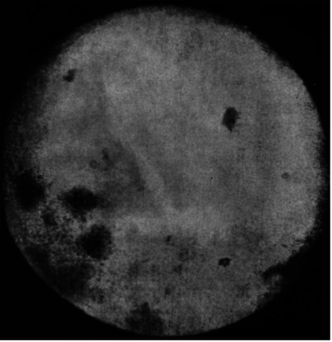 Reaching for the moon