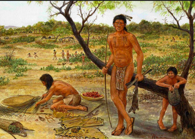 Native american division of labor