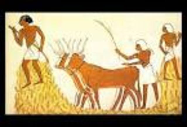 The work of ancient Egypt