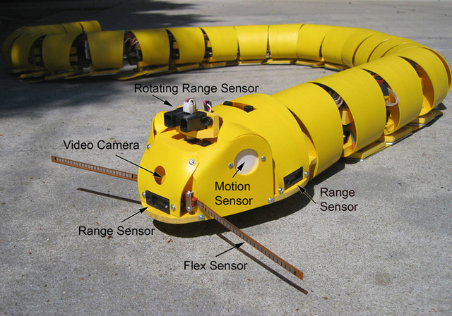 Robot serpent (Gavin Miller)