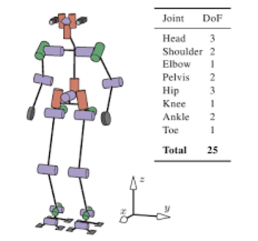 Structure des robots