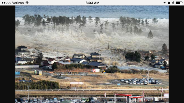 Tohoku Earthquake (Japan)
