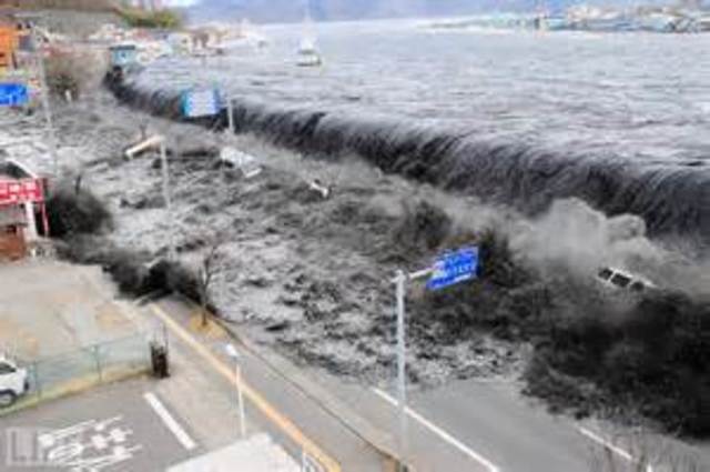 Tohoku Earthquake (Japan)