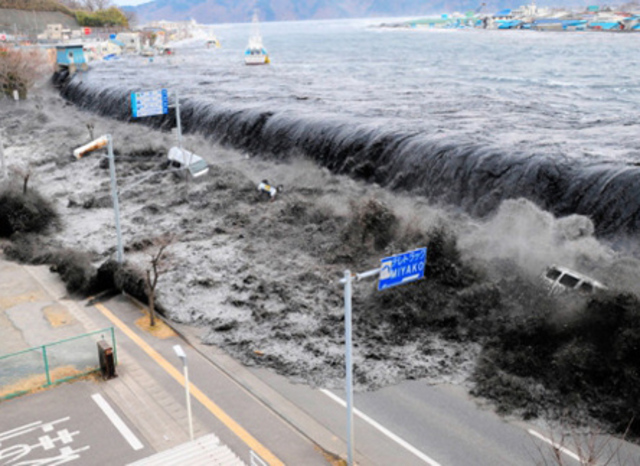 Tohoku Earthquake