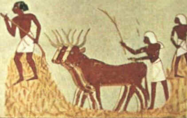 habitual routine of egypts