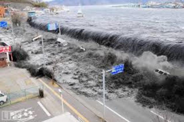 Tohoku Earthquake