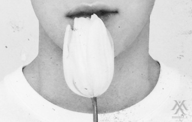 Segon teaser narrat.