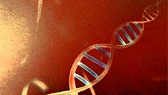 PRIMER CROMOSOMA HUMANO