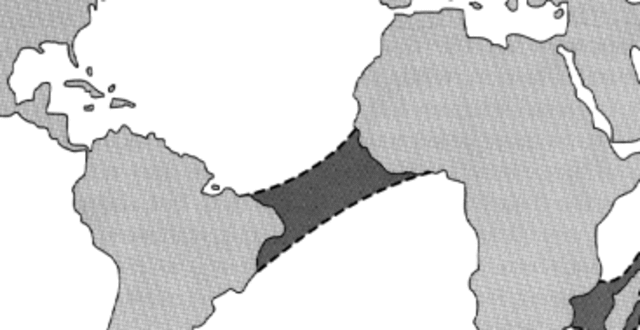 Before 1910 : A Time When The Continents Were 'Fixed'