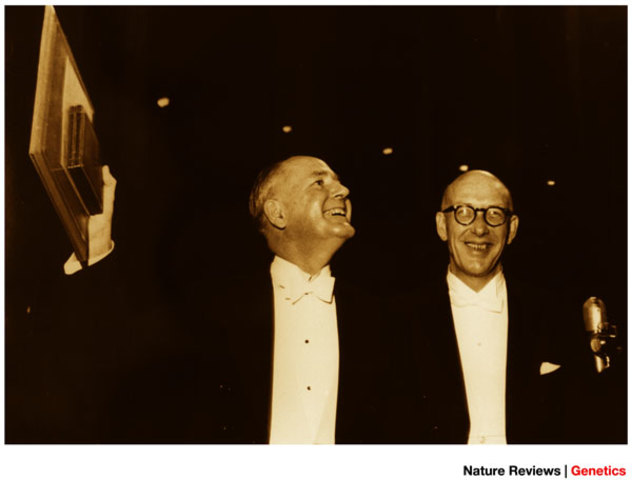 1941: One Gene, One Enzyme