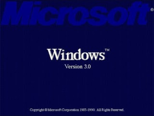 Windows 3.0