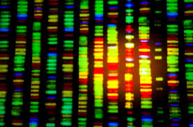 1996: Human DNA Sequence Begins