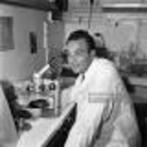 F. Jacob, D. Perrin, C. Sánchez y J. Monod