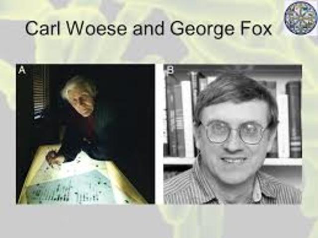 Carl Woese y George Fox