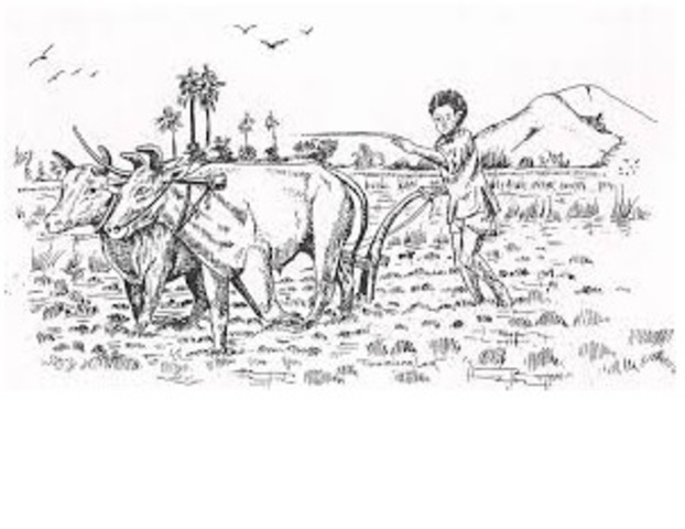 170 εκατομμύρια