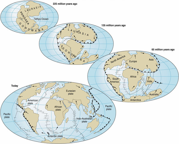 Teoría de la Deriva Continental