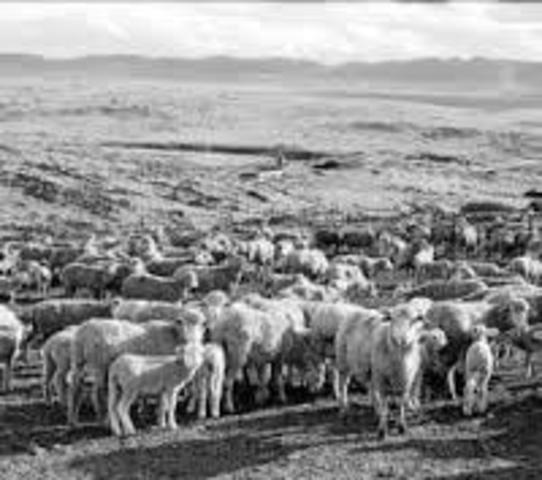 Domesticación de granja