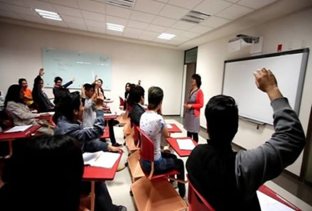 Prácticas Profesionales