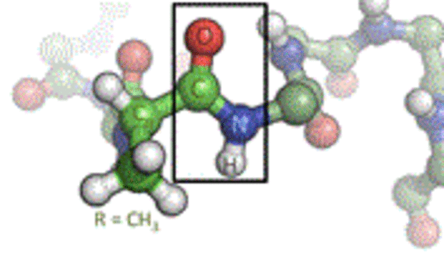 Η πρώτη αντίληψη