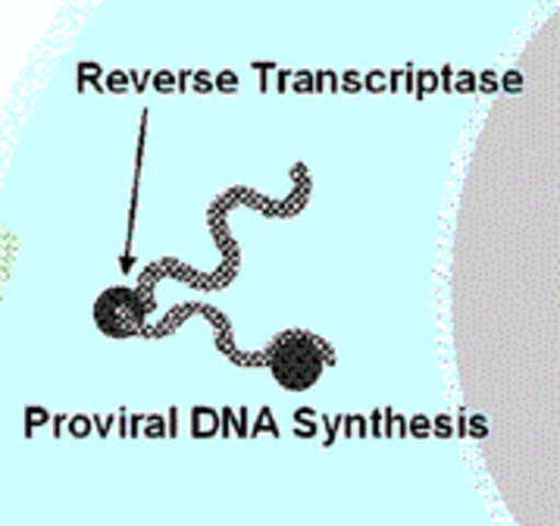 ΑΝΤΙΣΤΡΟΦΗ ΜΕΤΑΓΡΑΦΑΣΗ