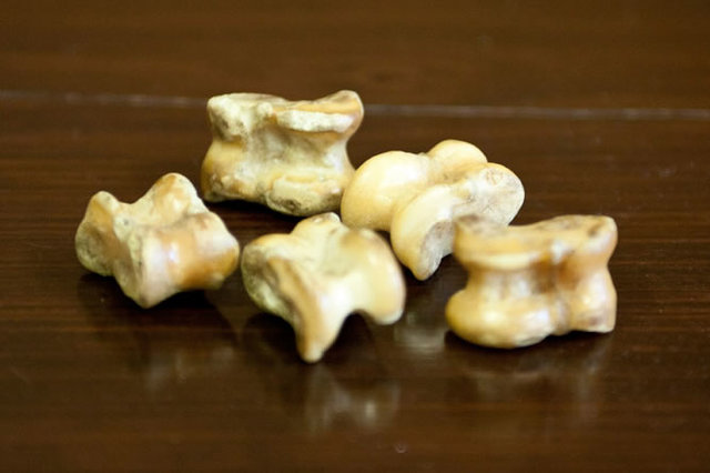 Knucklebones