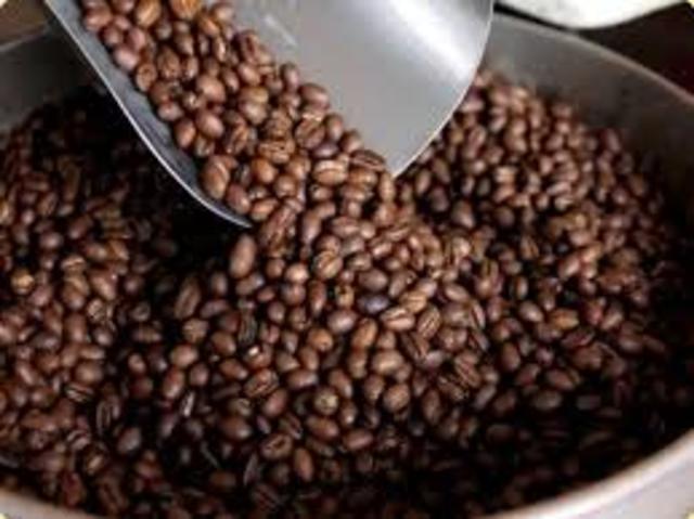 Brazil's Economy Collapses