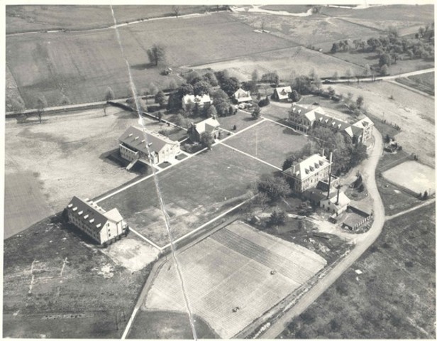 The African Institute