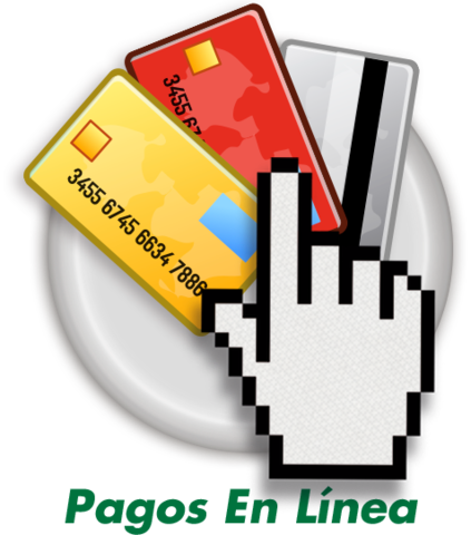 Aceptación de los pagos en linea