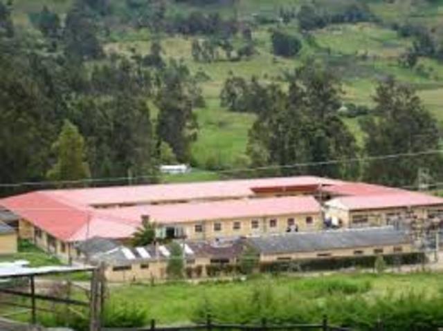 EDUCACIÓN BÁSICA PRIMARIA