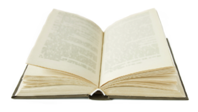 Began Reading Travel Book