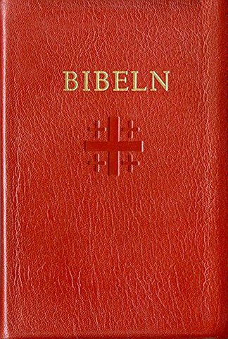 Bibeln på flera språk