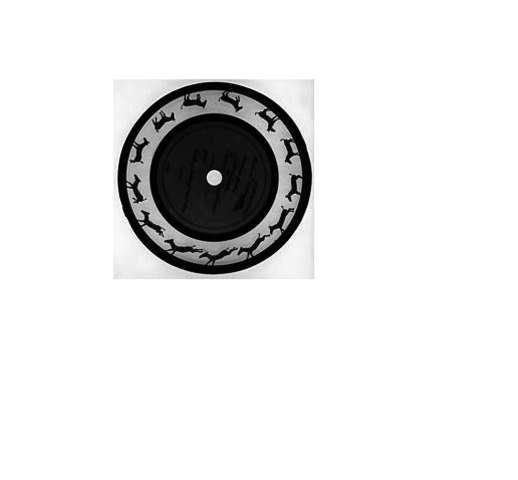 Invention equipment for recording and analyzing animal and human movement.