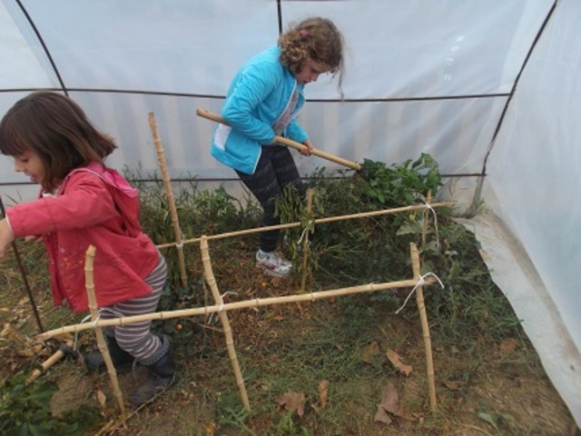 3r-B Arrencar herbes