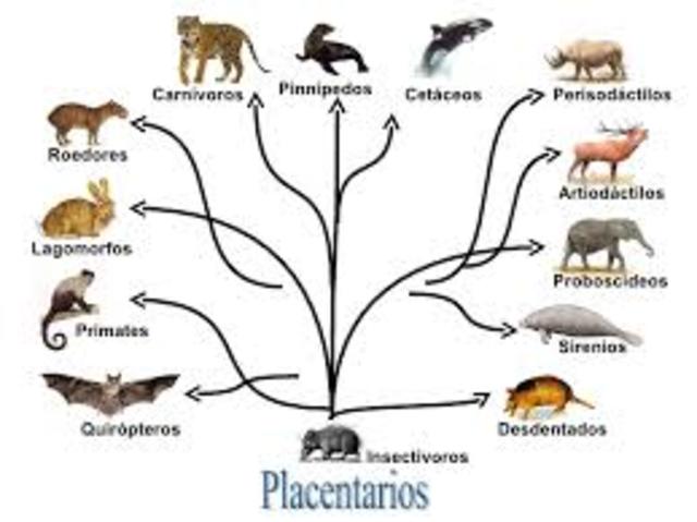 Aparición de seres vivos mas desarrollados