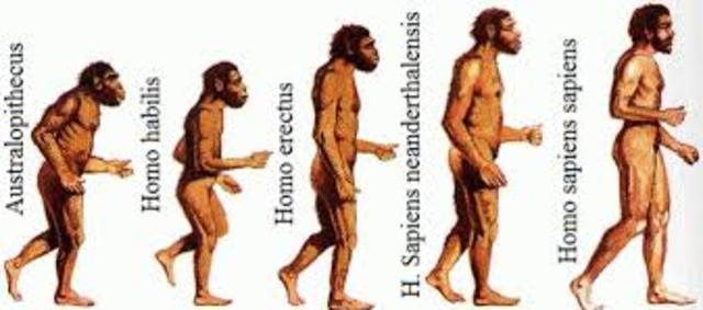 Camino hacia la hominización