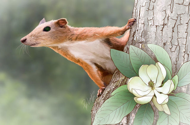 Restos del primate más antiguo